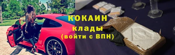 стафф Няндома