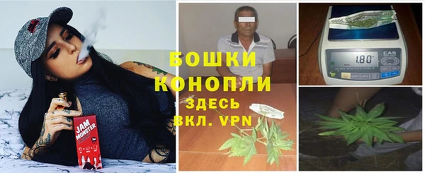 стафф Няндома