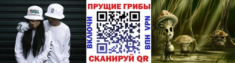 купить наркоту  Ильский  Галлюциногенные грибы Cubensis 